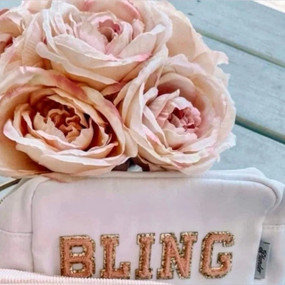 Plunder Bling Cosmetic Makeup Bag Carry All Tote Luggage Suitcase Handbag Insert